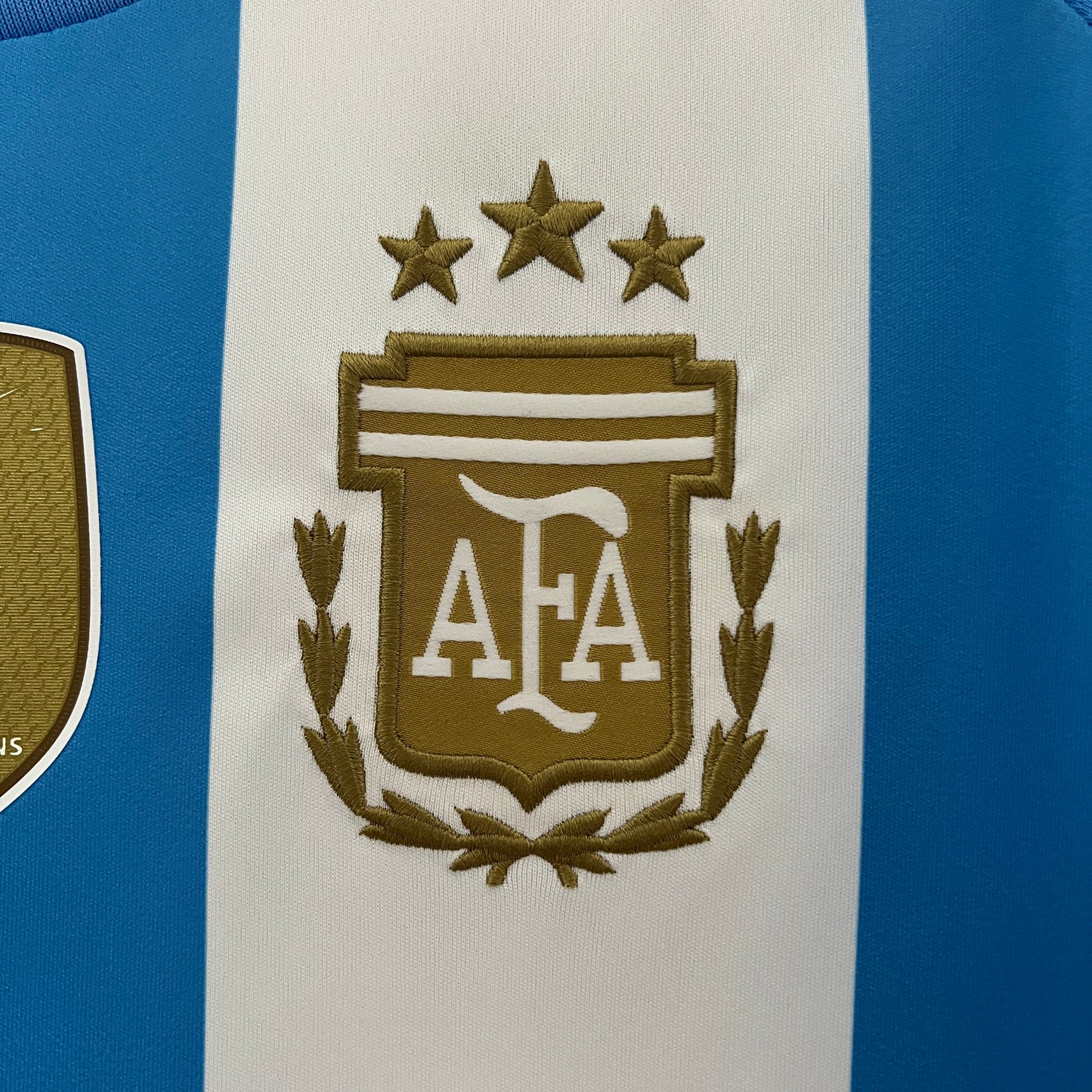 Argentina 2024 Local Copa América (Fan Version)