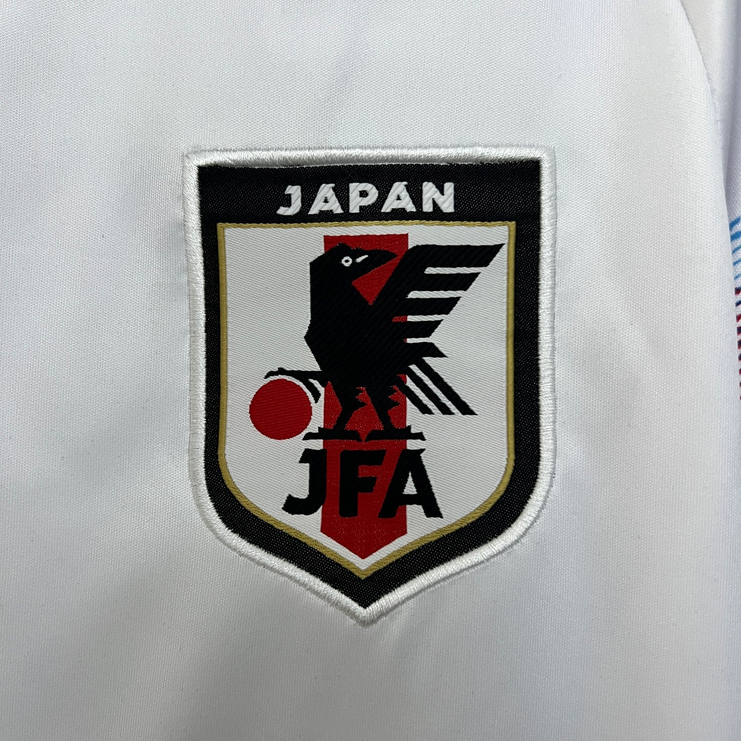 Japón 2024 Edición Especial 35 (Fan Version)