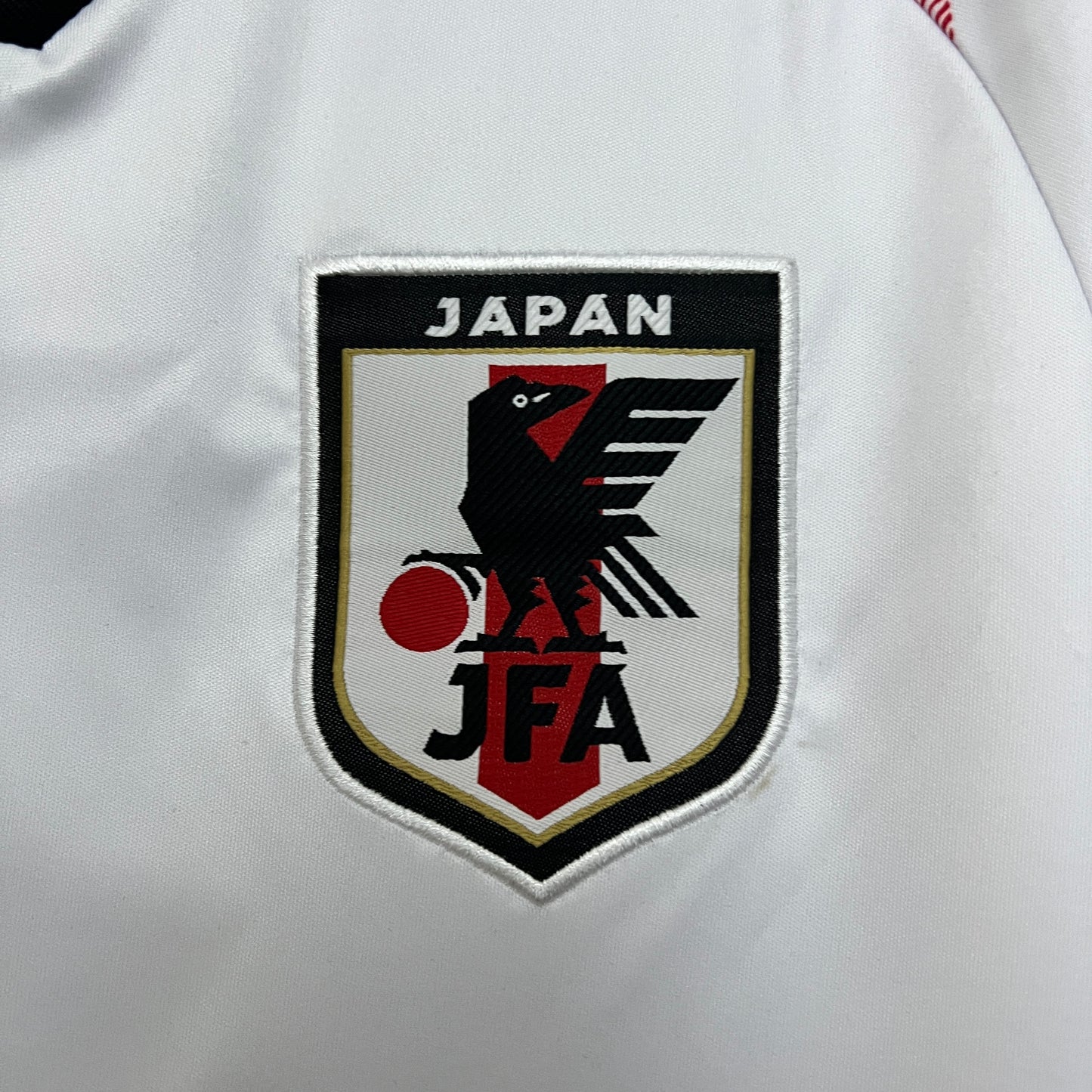 Japón 2024 Edición Especial 36 (Fan Version)