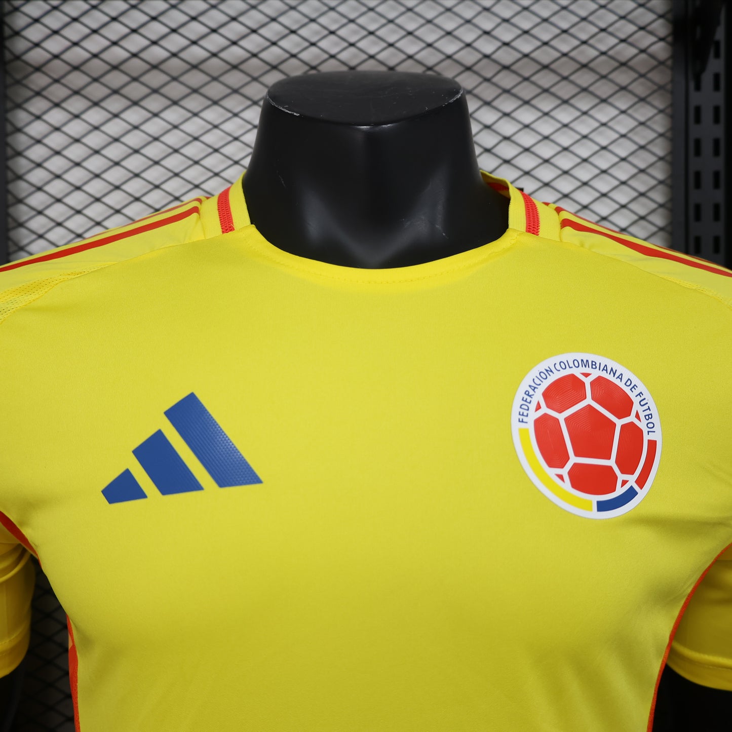 Colombia 2024 Local Copa América (Player Version)