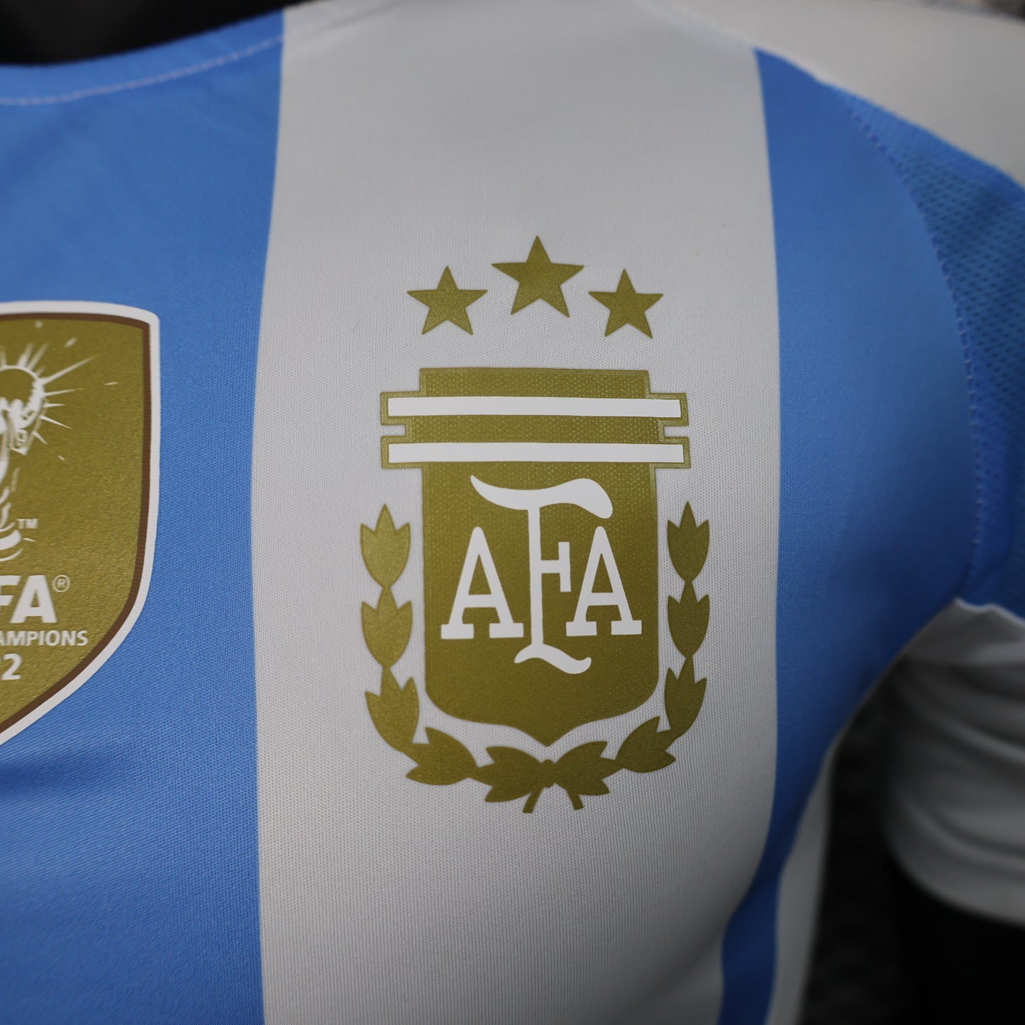 Argentina 2024 Local Copa América (Player Version)