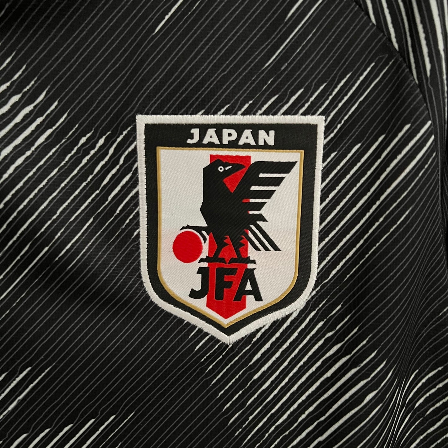 Japón 2024 Edición Especial 17 (Fan Version)