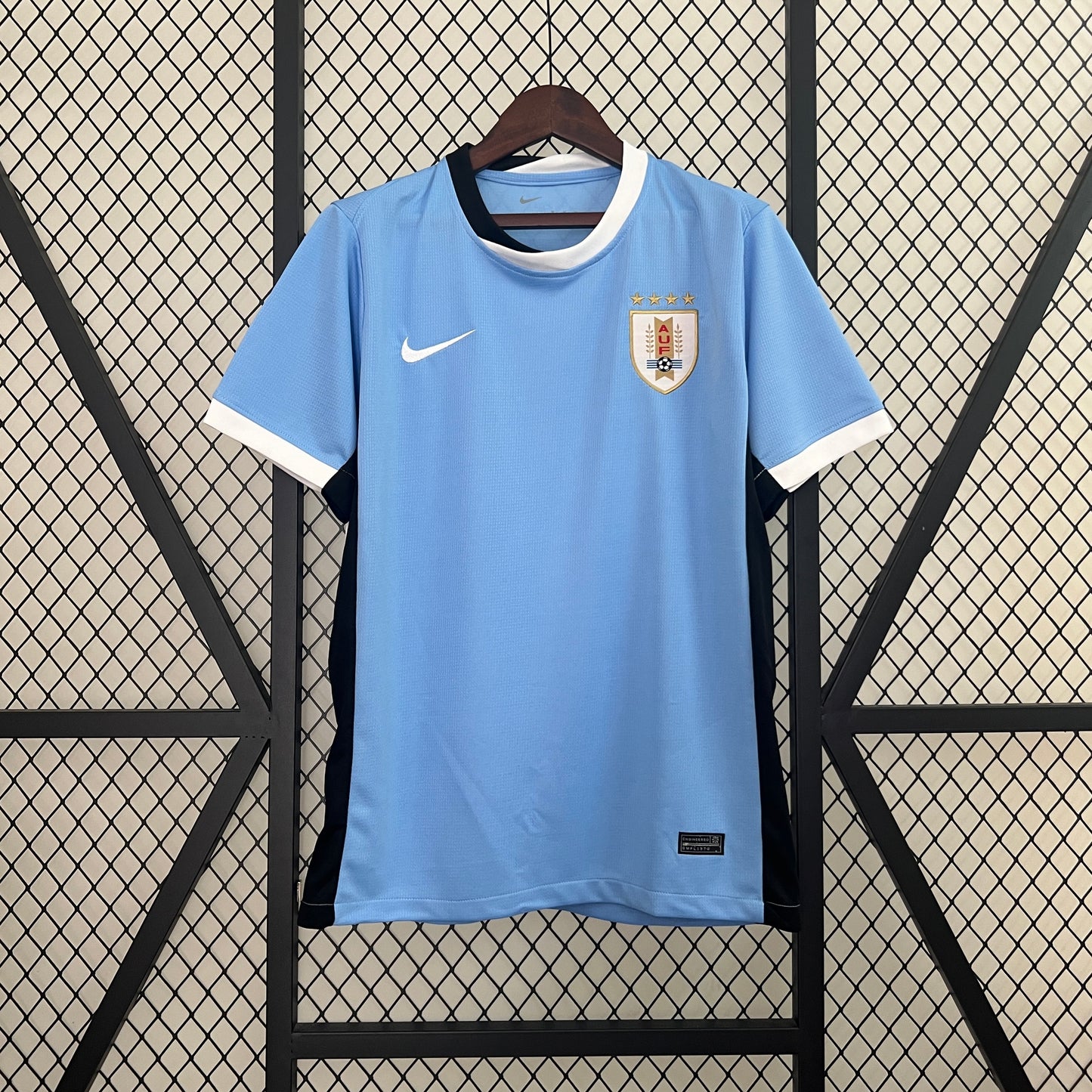 Uruguay 2024 Local Copa América (Fan Version)
