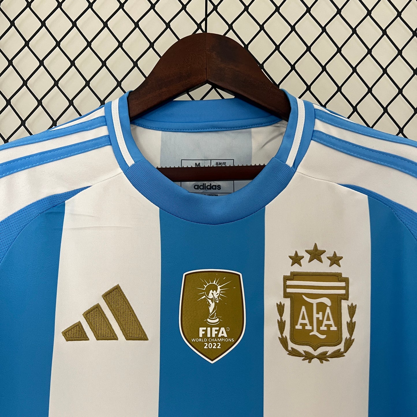 Argentina 2024 Local Copa América (Fan Version)