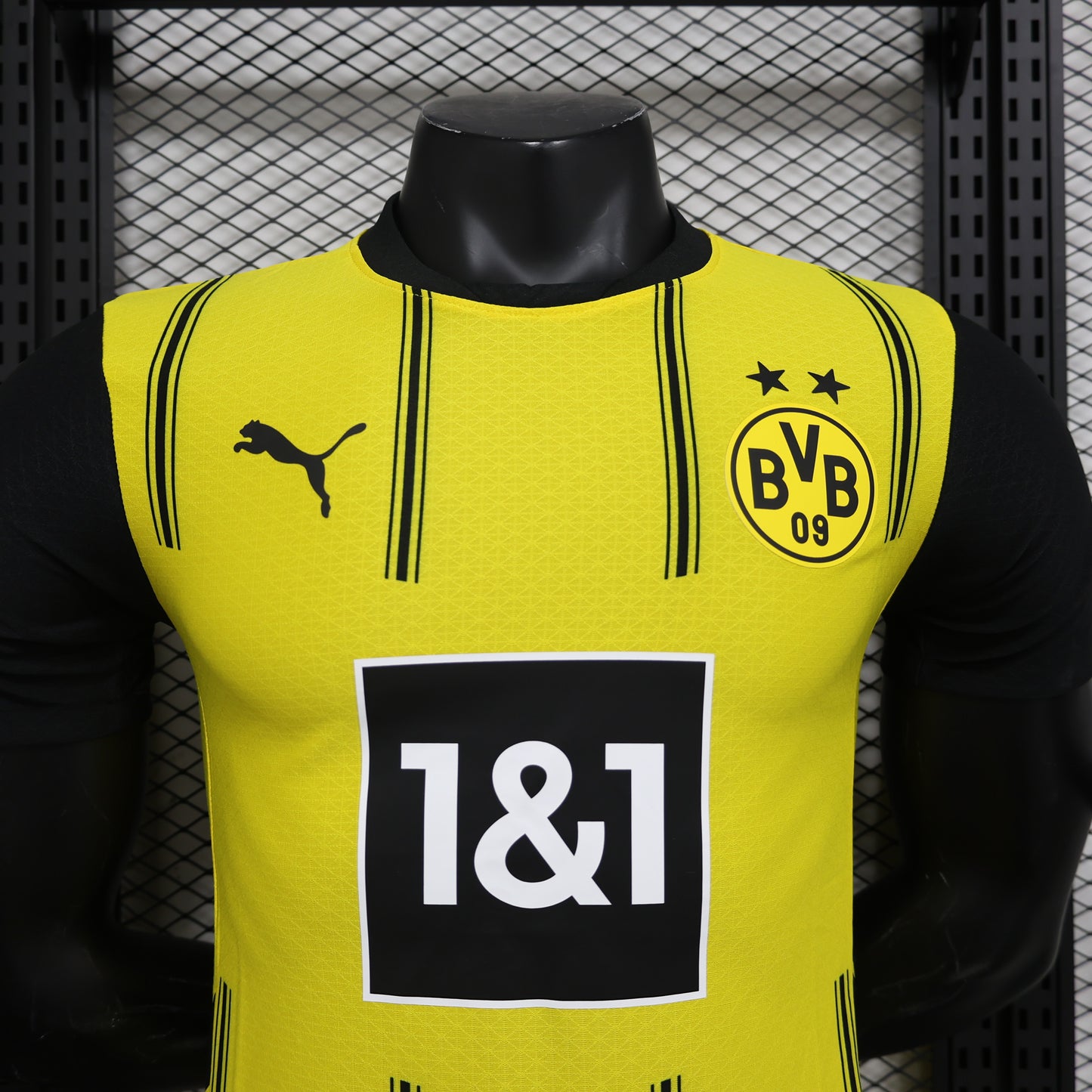 Borussia Dortmund 24-25 Local (Player Version)