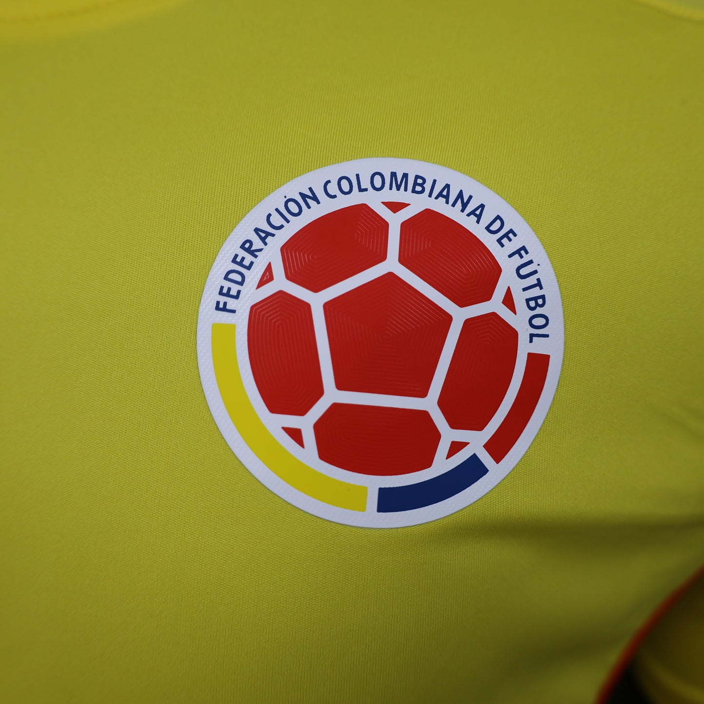 Colombia 2024 Local Copa América (Player Version)