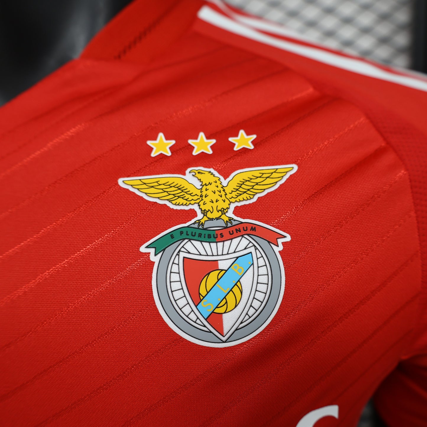 Benfica 24-25 Local (Player Version)