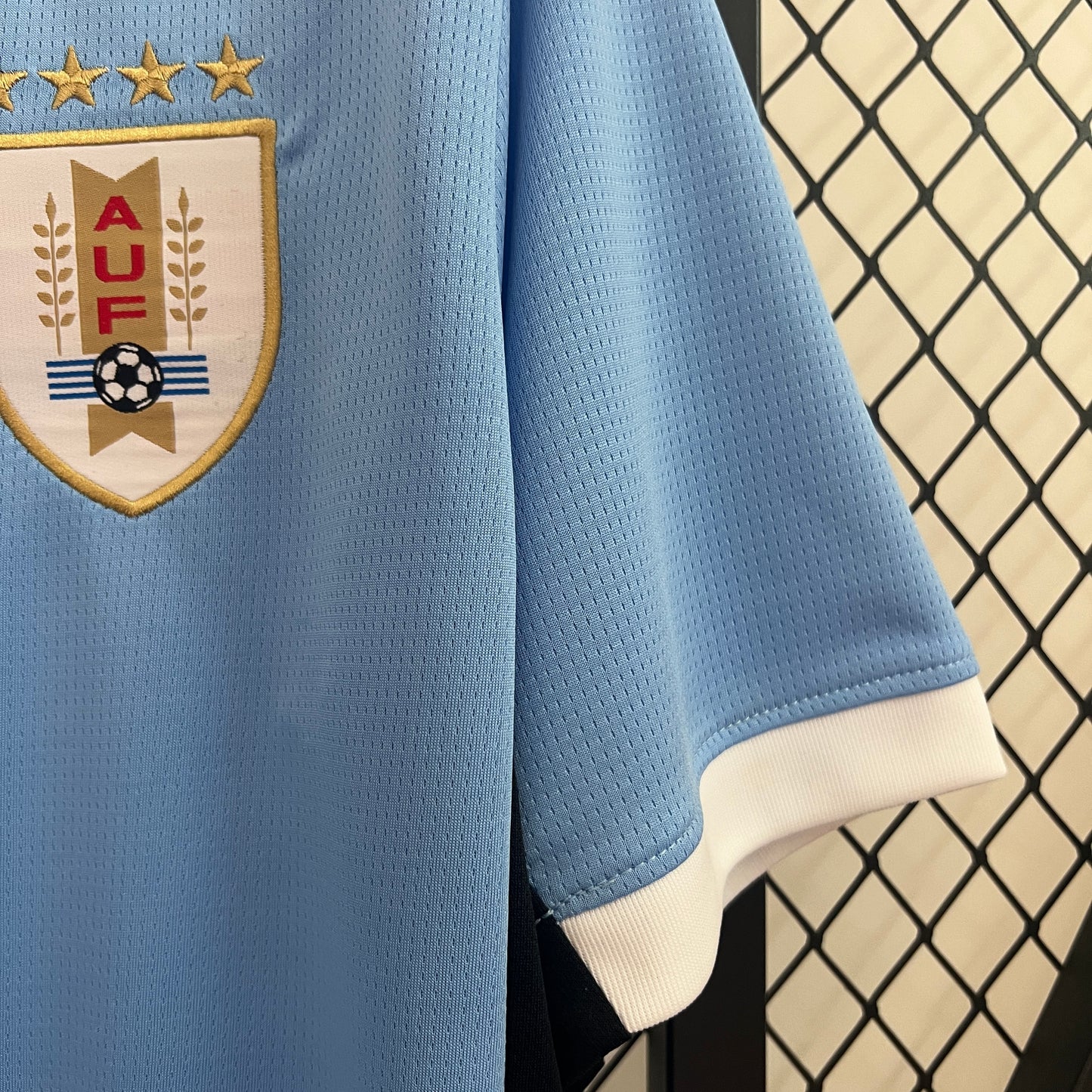 Uruguay 2024 Local Copa América (Fan Version)