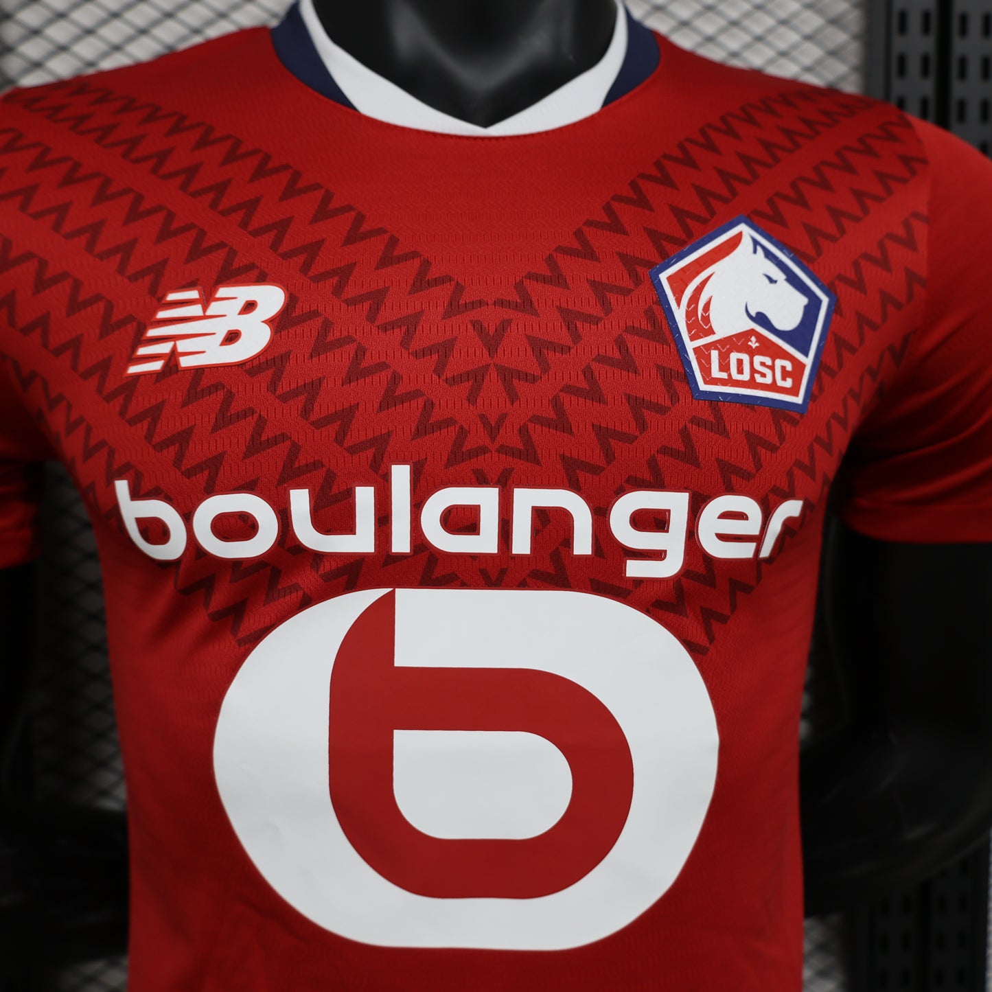 LOSC Lille 24-25 Local (Player Version)