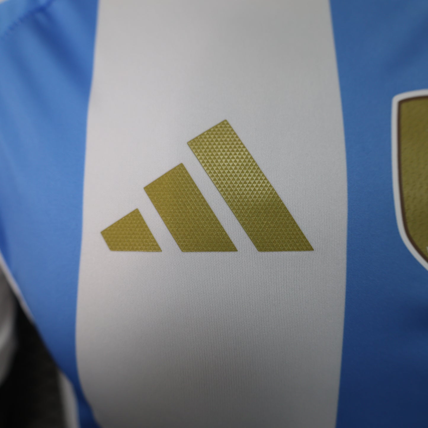 Argentina 2024 Local Copa América (Player Version)