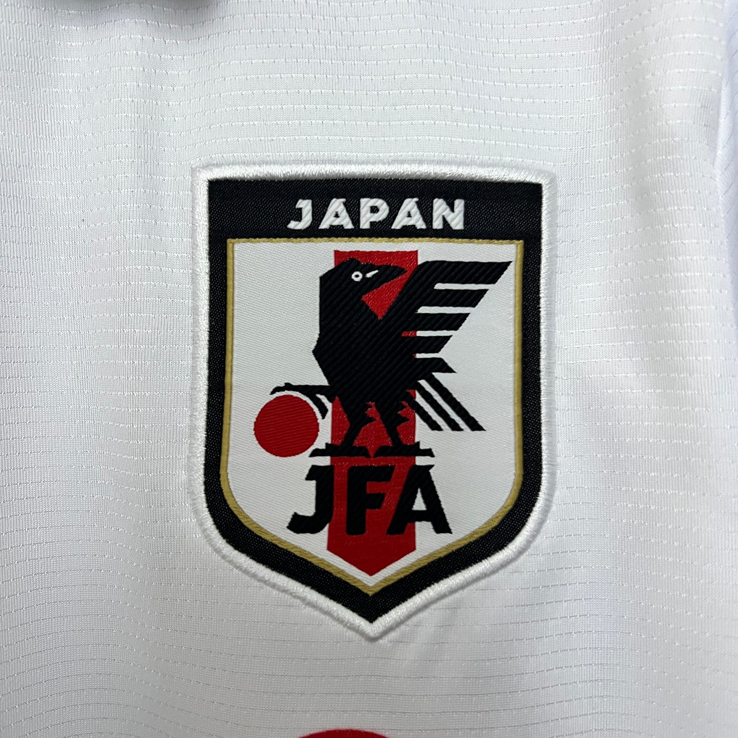 Japón 2024 Edición Especial 39 (Fan Version)