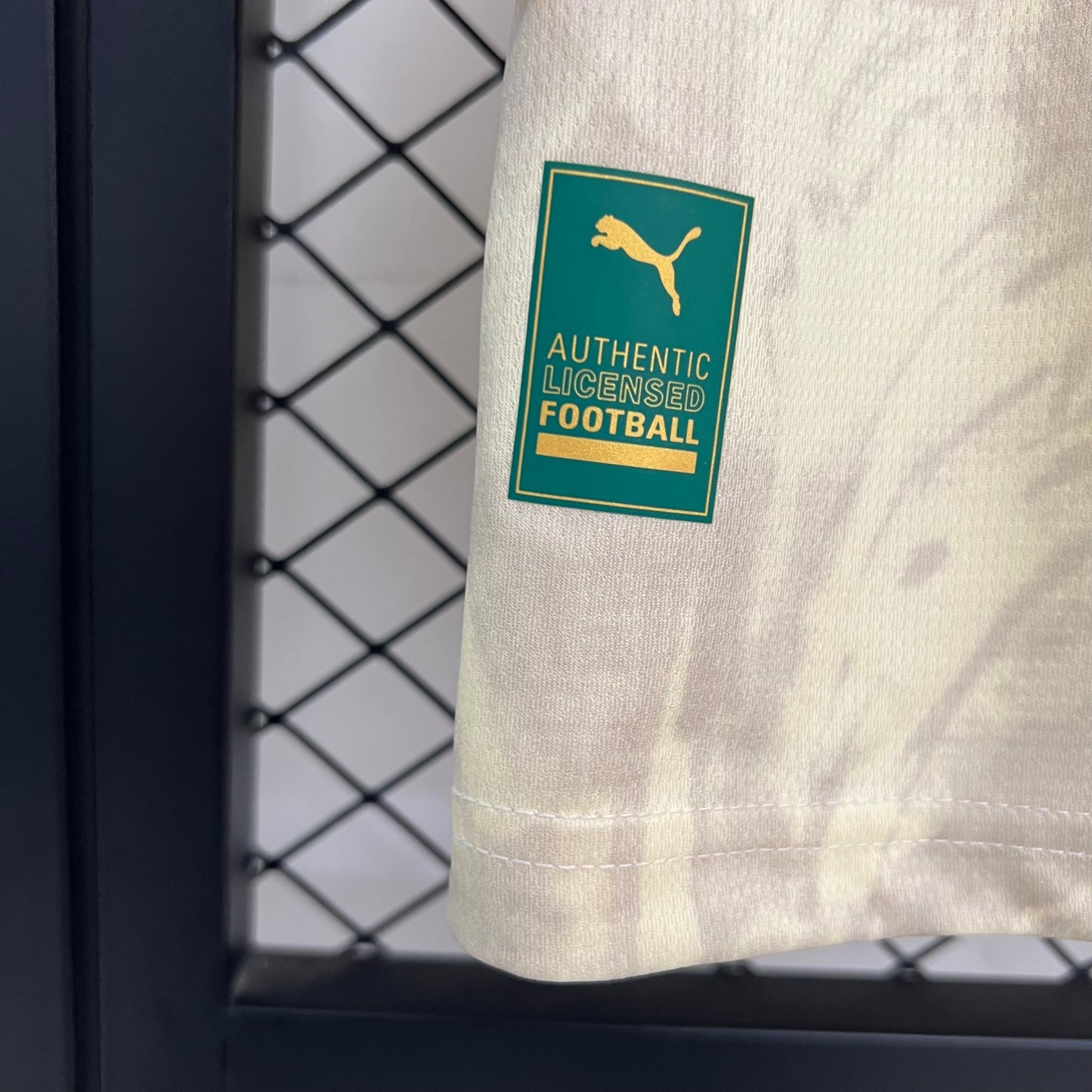 Palmeiras 2025 Tercera (Fan Version)