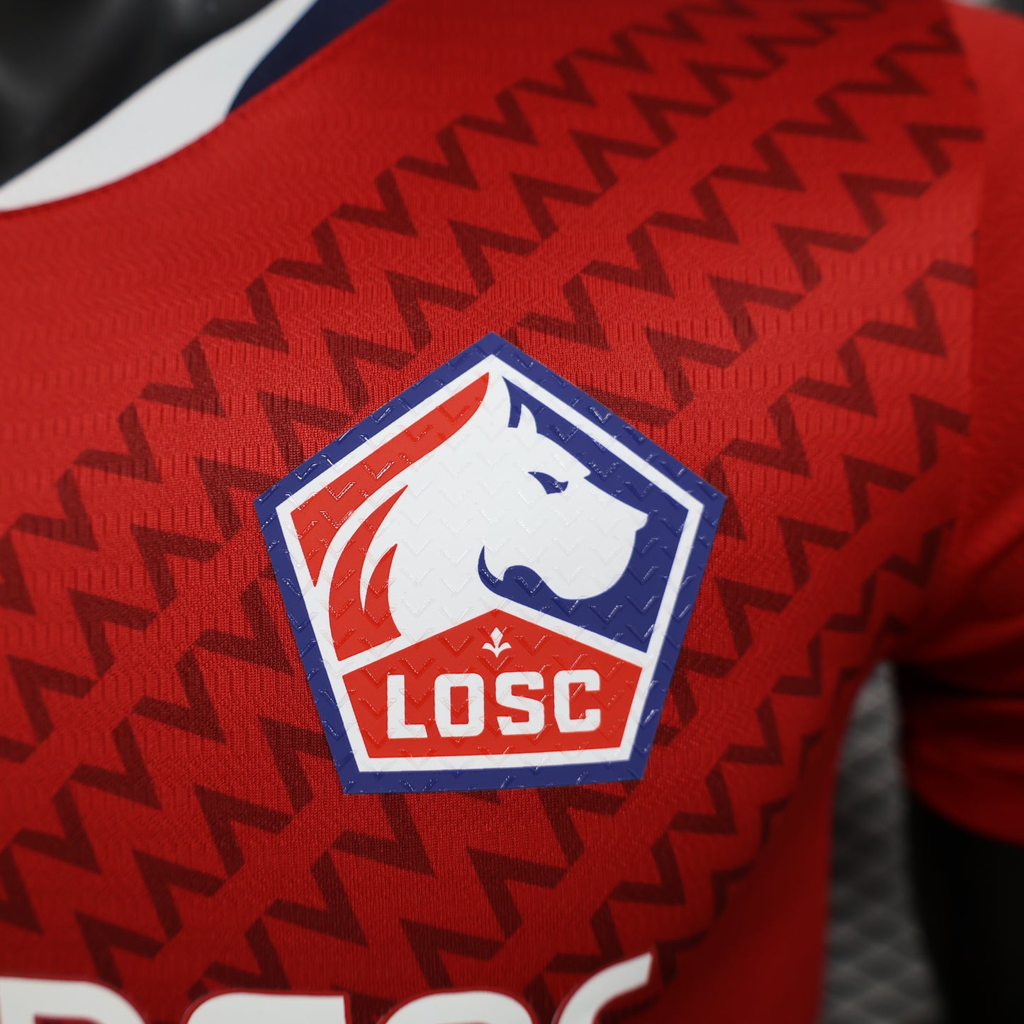 LOSC Lille 24-25 Local (Player Version)