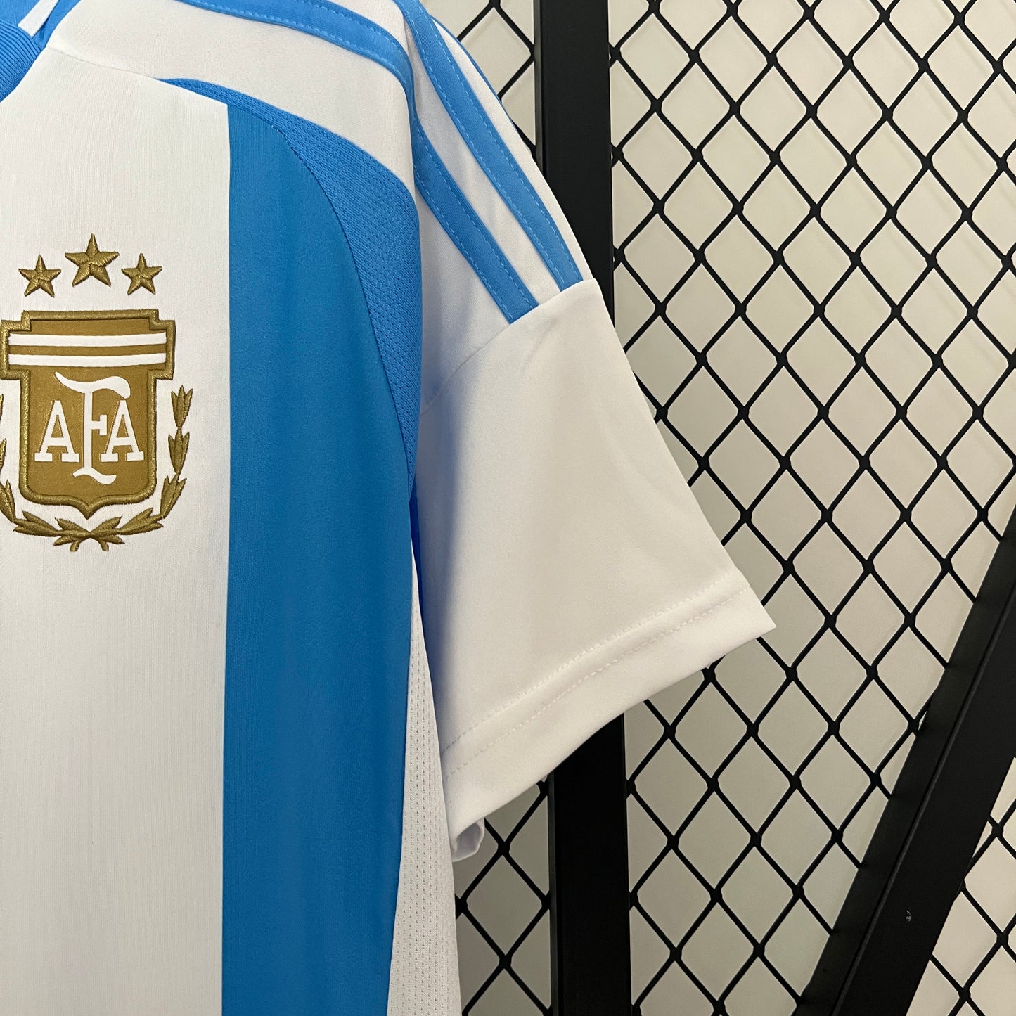 Argentina 2024 Local Copa América (Fan Version)