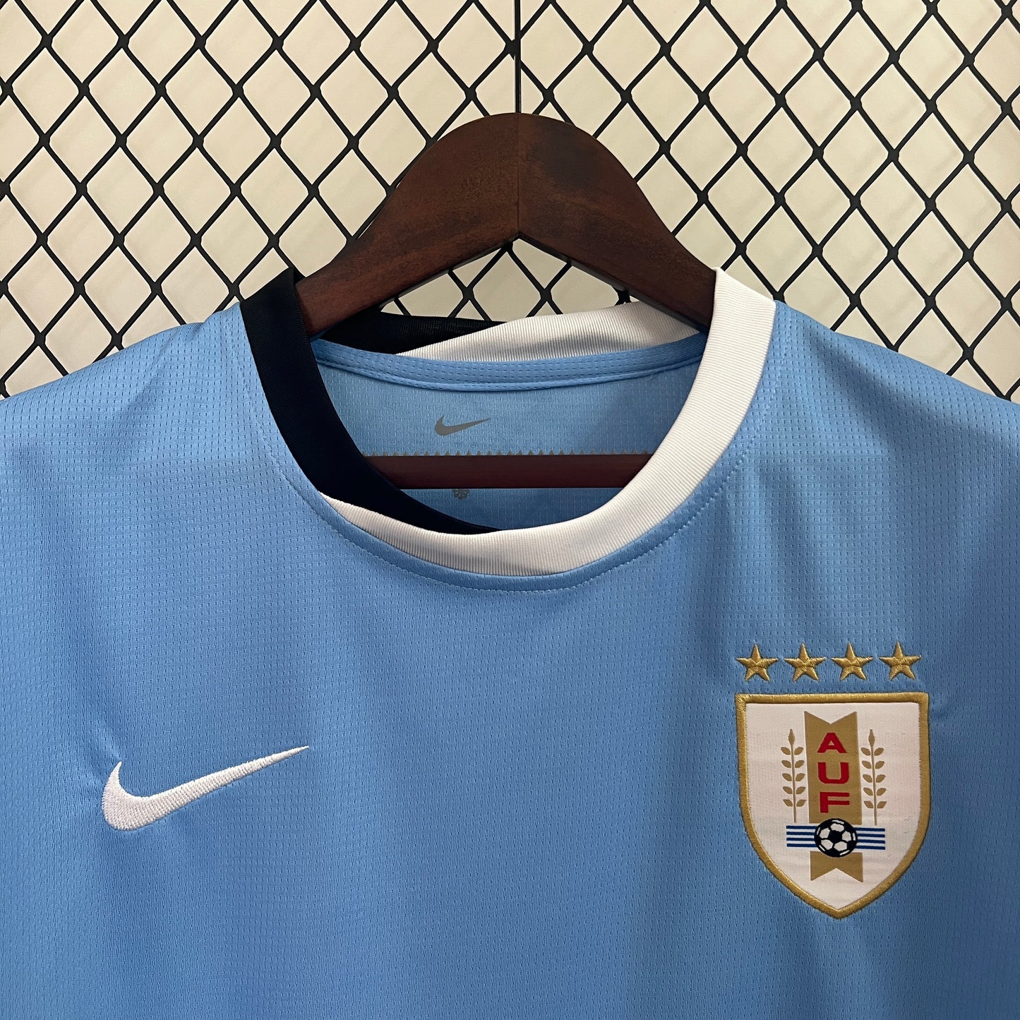 Uruguay 2024 Local Copa América (Fan Version)