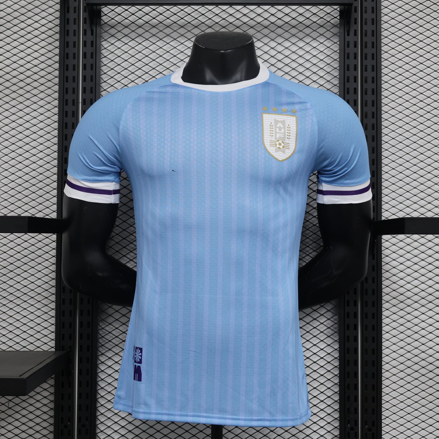 Uruguay 2024 Local Copa América (Player Version)