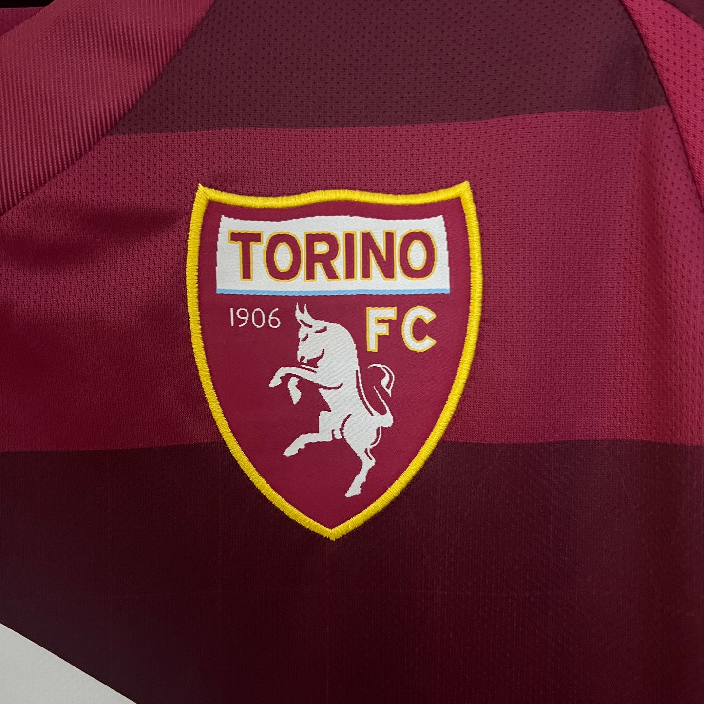 Torino 24-25 Local (Fan Version)