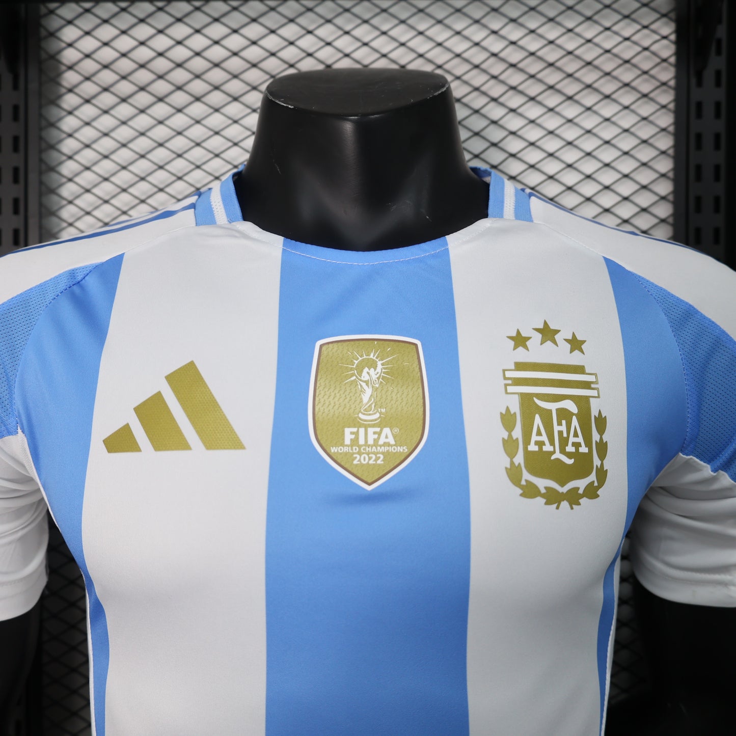 Argentina 2024 Local Copa América (Player Version)