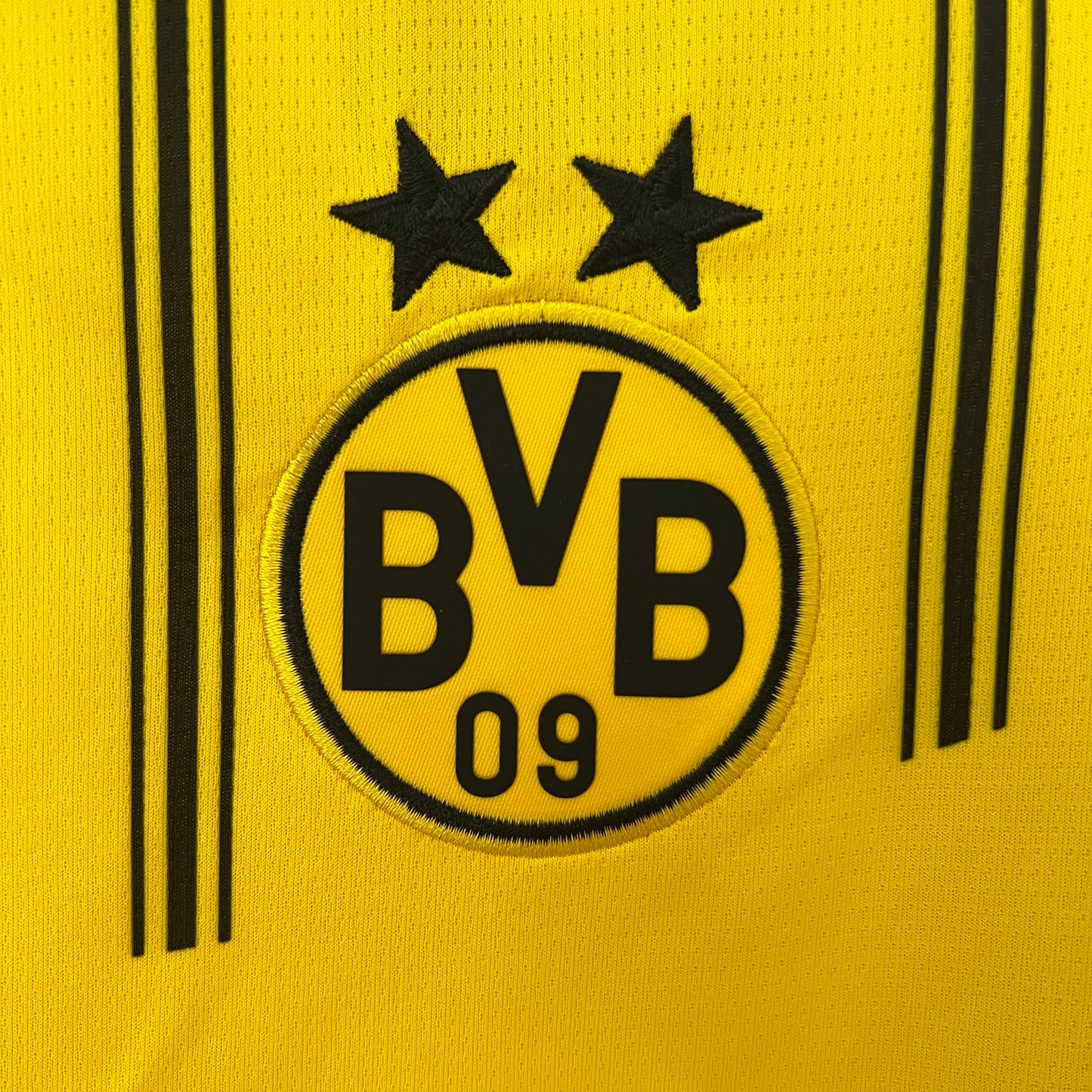 Borussia Dortmund 24-25 Local (Fan Version)