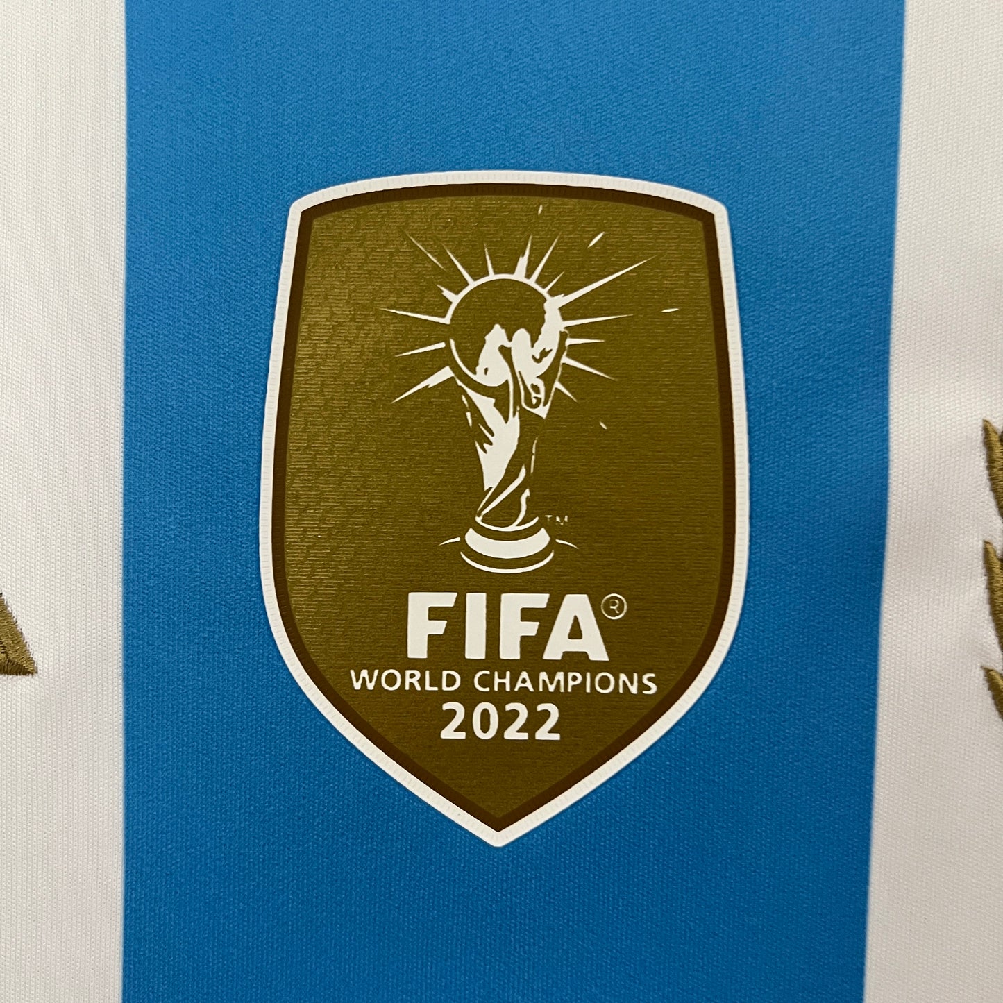 Argentina 2024 Local Copa América (Fan Version)