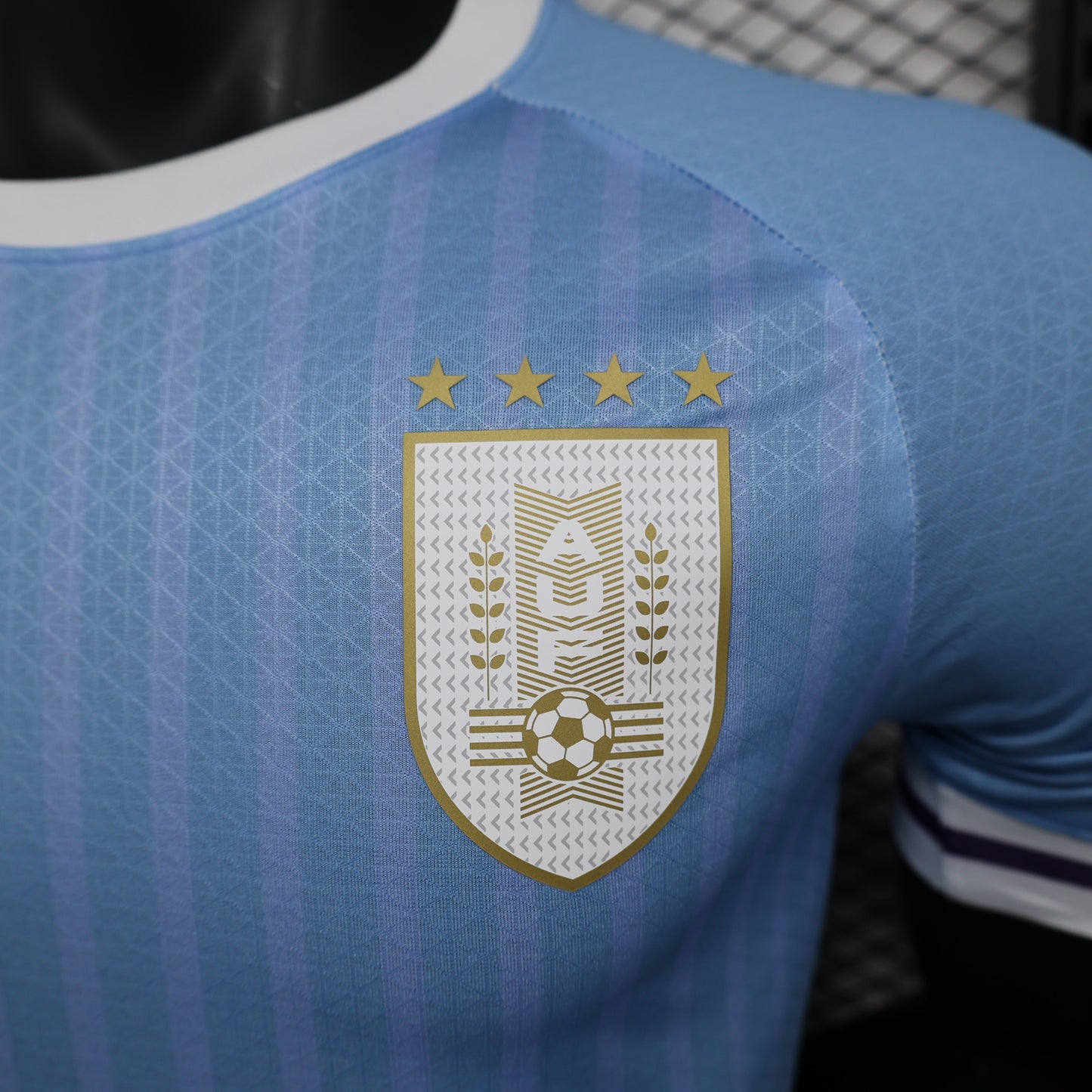 Uruguay 2024 Local Copa América (Player Version)